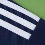 2526 season Olympique Lyonnais away Fan version