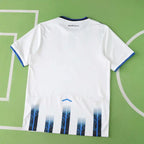 2526 season Atalanta B.C. away Fan version