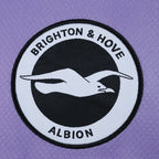 2526 season Brighton & Hove Albion F.C. away Fan version