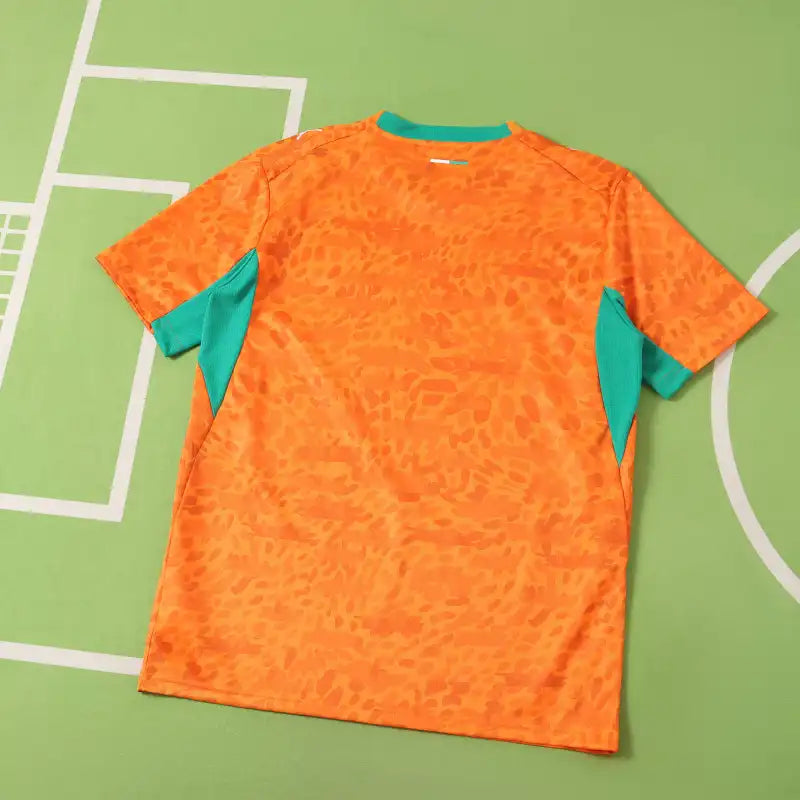 2627 Ivory Coast home Fan version