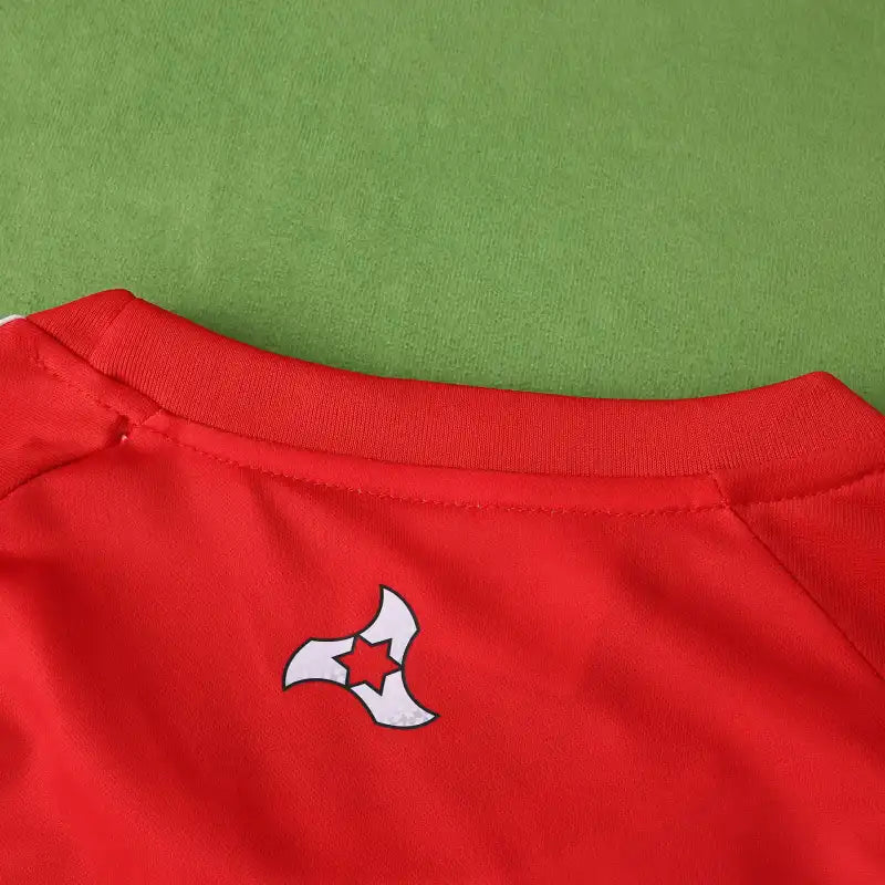 2526 season  Granada CF home  Fan version