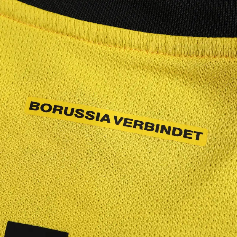 2425 season Dortmund home Fan version