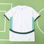 2526 season Côte d'Ivoire away Fan version