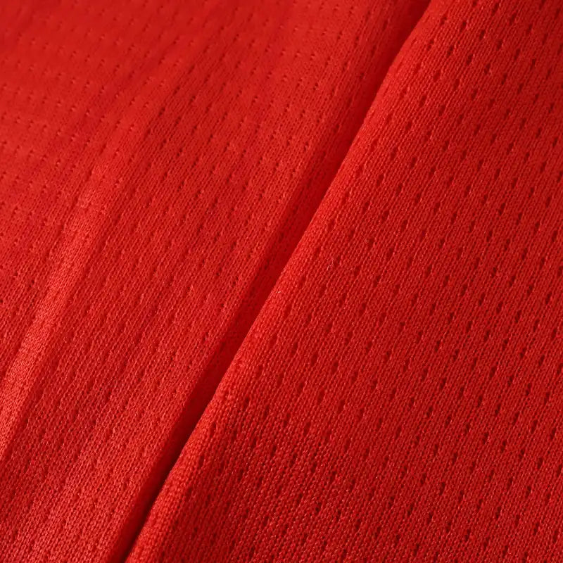 2627 season Stade Rennais F.C. home Fan version