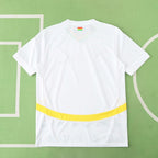 2526 season Ghana home Fan version