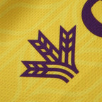 2526 Season Real Valladolid CF Third Fan version