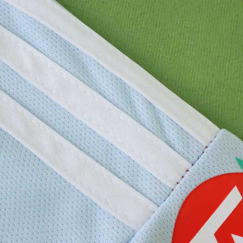 2526 season Aston Villa F.C. home Fan version