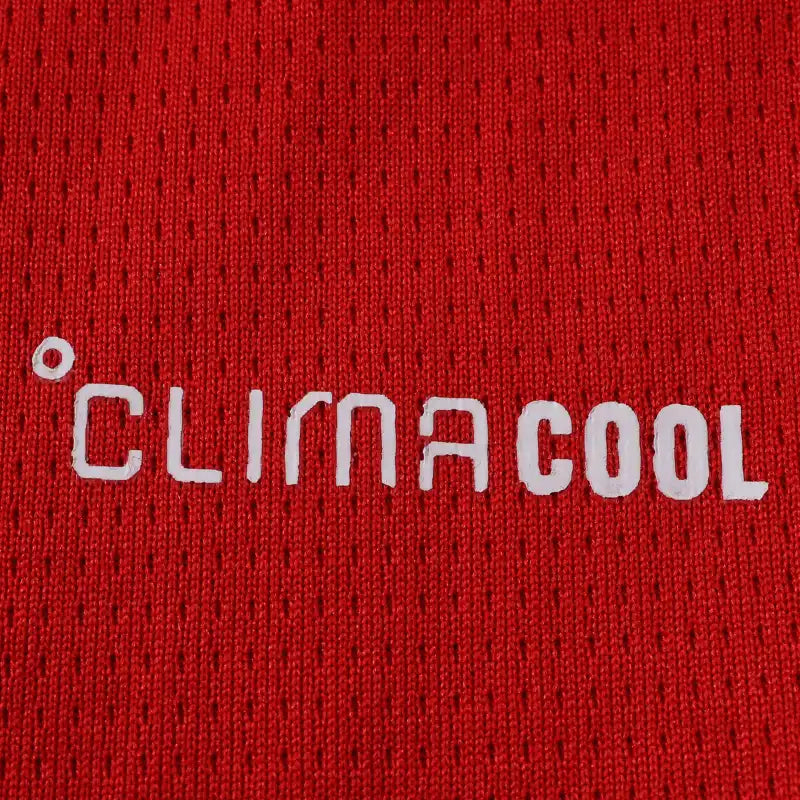 2627 season Arsenal F.C. home Fan version