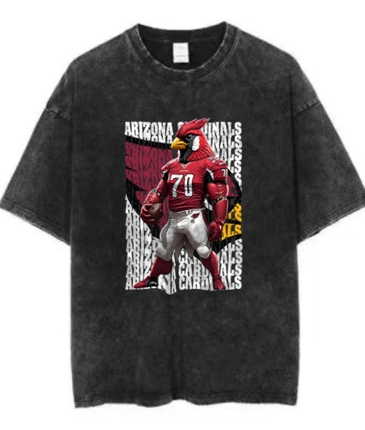 ARIZONA  Vintage t-shirt 2506A066