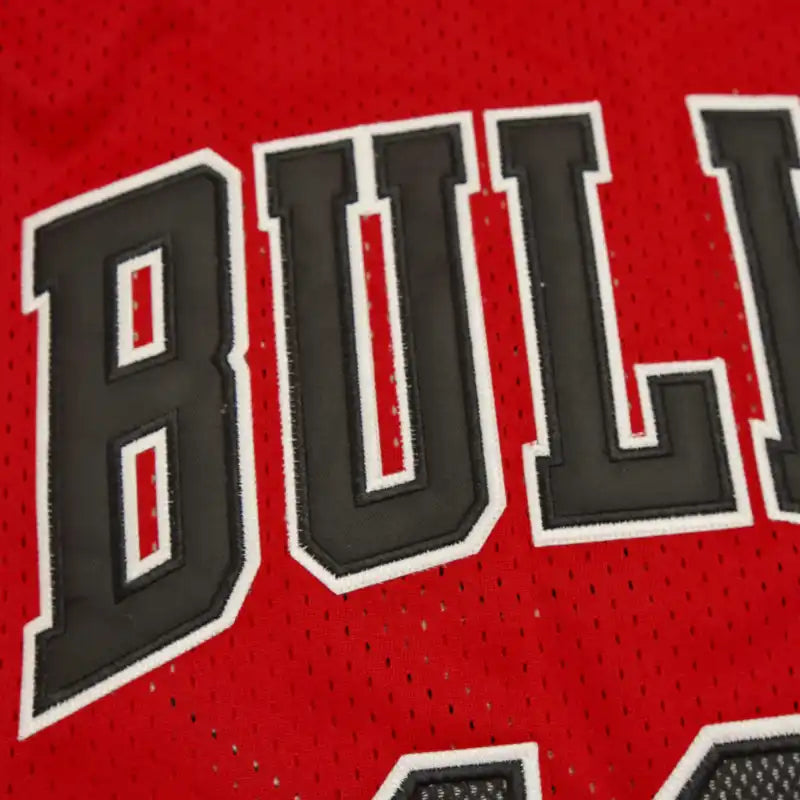 NBA Chicago Bulls 12