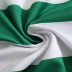 2425 season Celts home Fan version