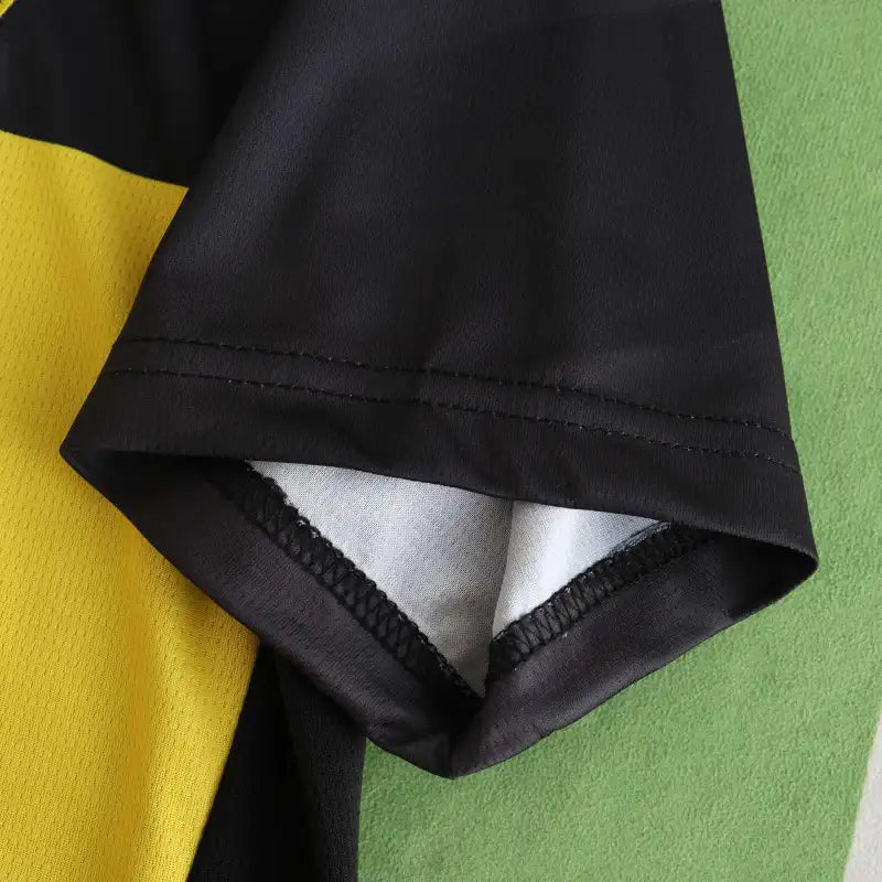 2425 season Dortmund away Fan version
