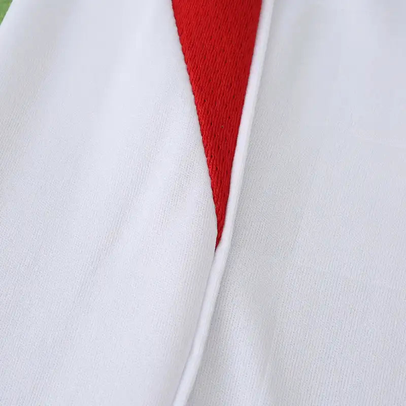 2526 season S.L. Benfica third Fan version