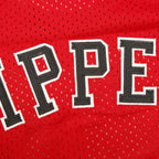 NBA Chicago Bulls 33#PIPEN