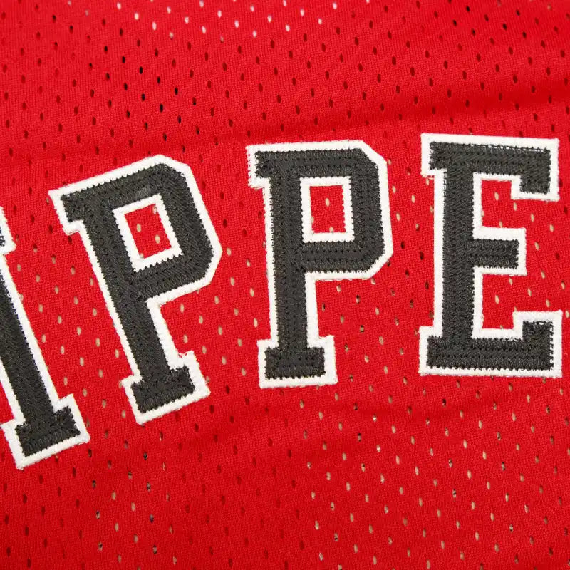 NBA Chicago Bulls 33#PIPEN