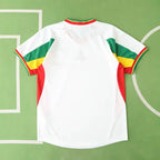 2002 season Senegal home retro Fan version