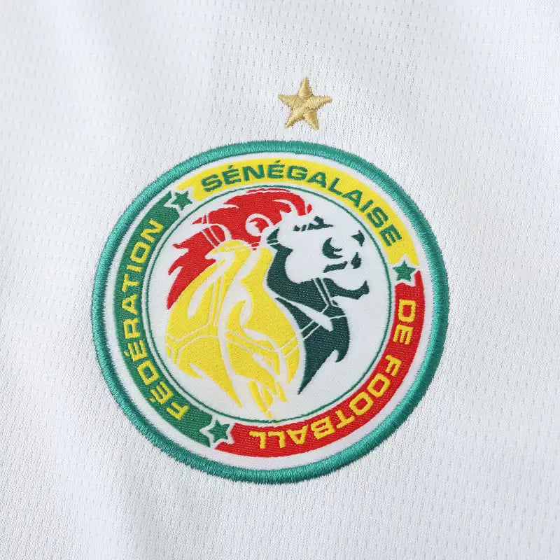 2526 season Senegal home Fan version