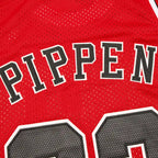 NBA Chicago Bulls 33#PIPEN