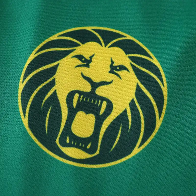 2425 season Cameroon home Fan version