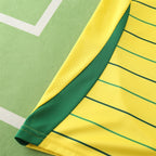 2425 season Celtic F.C. away Fan version