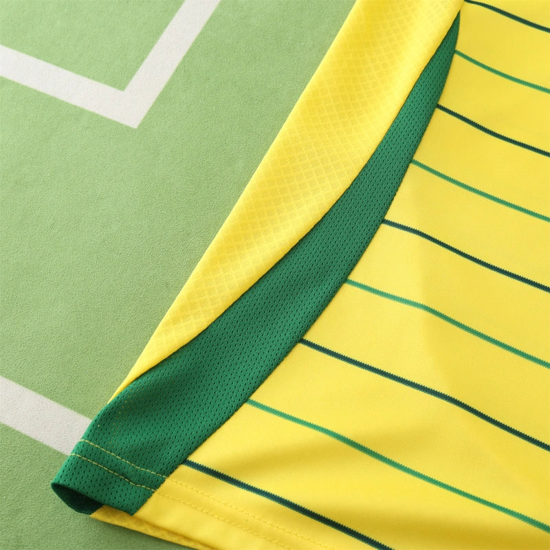2425 season Celtic F.C. away Fan version