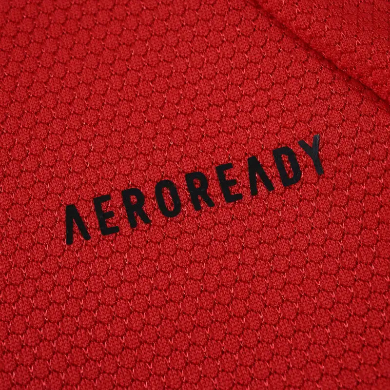 2526 season S.L. Benfica home Fan version