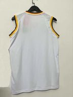 02 Cameroon away retro Fan version