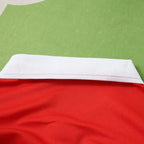 150th anniversary Wales Long sleeve Fan version