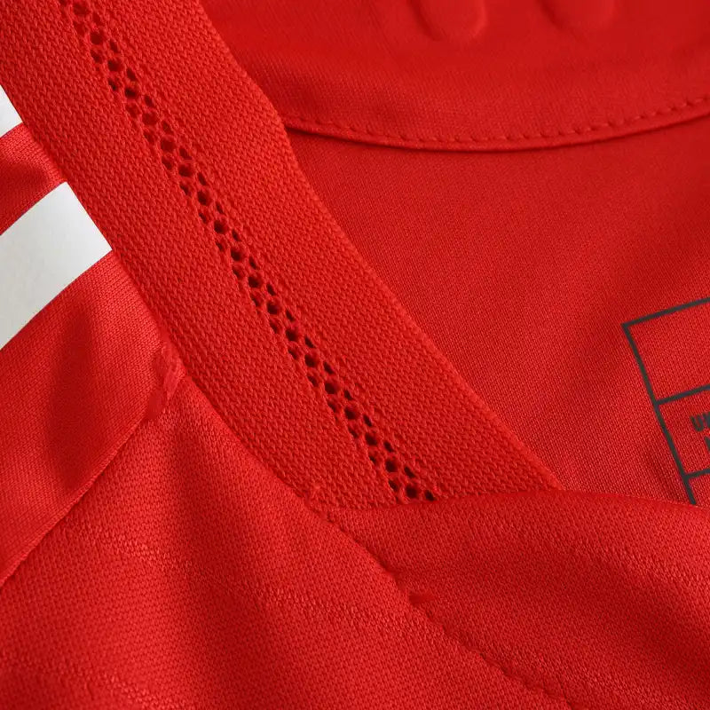 2425 season Benfica home Player version