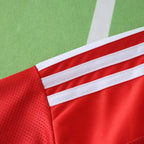 2526 season Sport Club Internacional home Fan version
