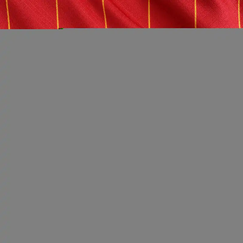 2425 season Liverpool home Fan version