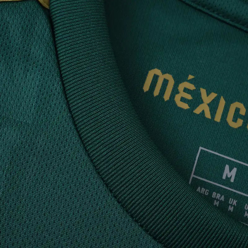 2526 season Mexico Concept version Fan version