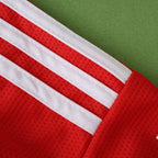 2526 season S.L. Benfica home Long sleeved Fan version