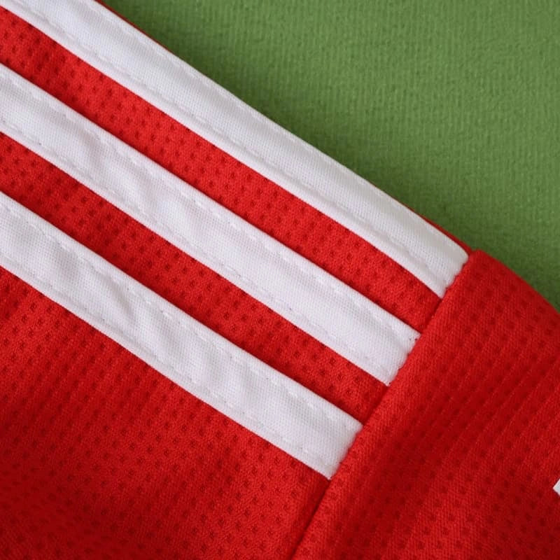 2526 season S.L. Benfica home Long sleeved Fan version