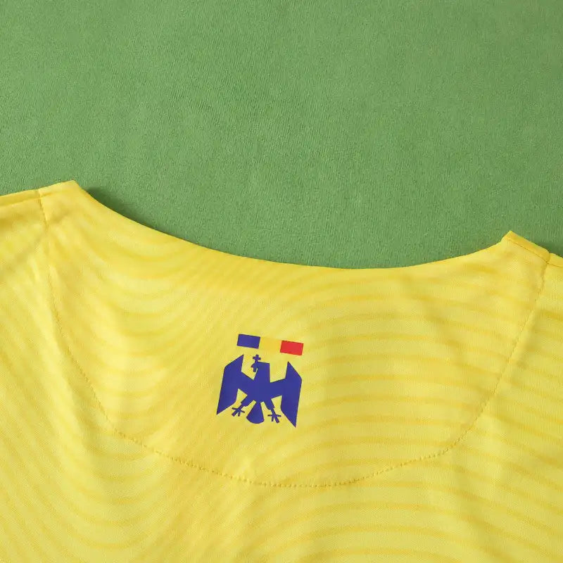 2526 season Romania home Fan version