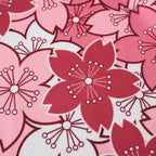 2425 season Japan Concept version Fan version