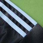 2526 season Aston Villa F.C. away Fan version