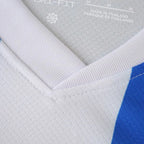 2526 season (Brighton & Hove Albion Football Club home Fan version