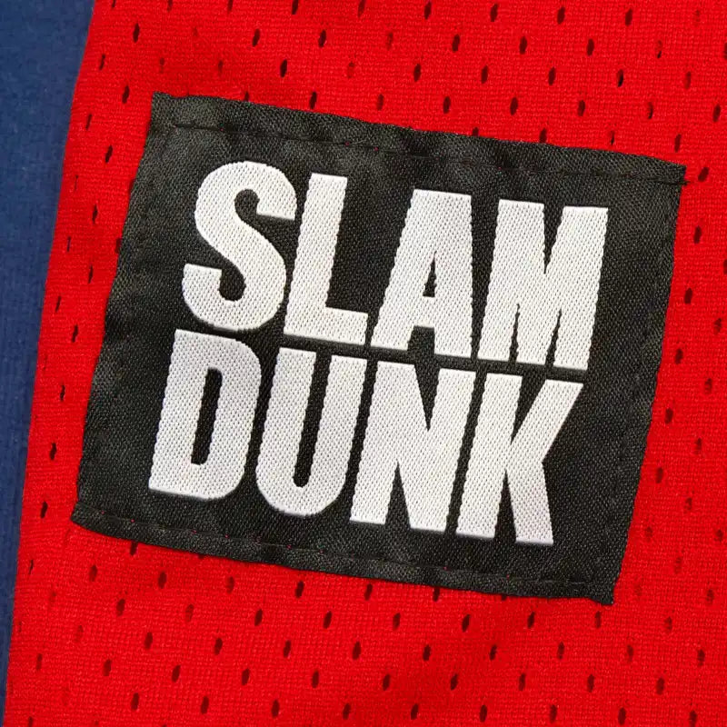 NBA Slam Dunk 10