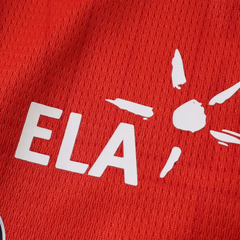 2627 season Stade Rennais F.C. home Fan version