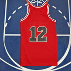 NBA Chicago Bulls 12