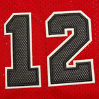 NBA Chicago Bulls 12