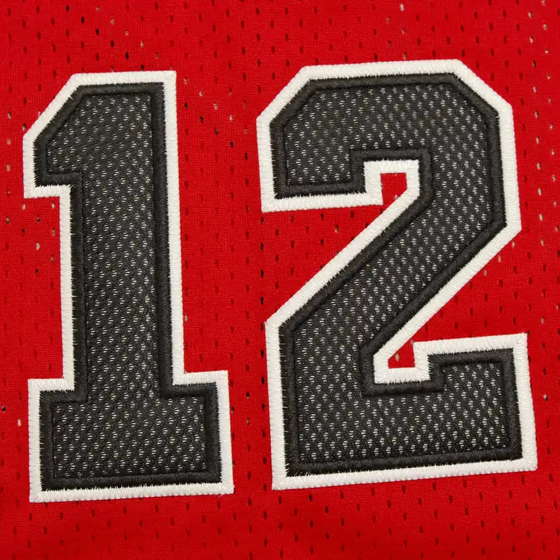 NBA Chicago Bulls 12
