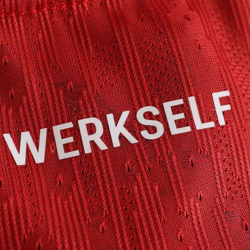 2425 season Leverkusen home Player version