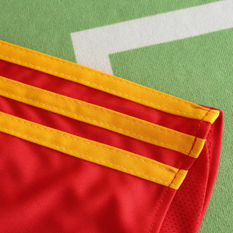 2008 season Spain home retro Fan version
