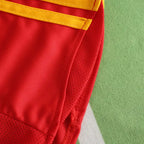 2008 season Spain home retro Fan version