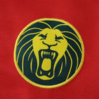 2526 season Cameroon away Fan version