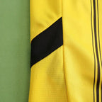 2425 season Dortmund home Fan version