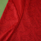 2526 season Arsenal F.C. home Long sleeved Player version
