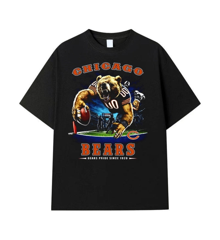 CHICAGO BEARS Vintage t-shirt 2506A006